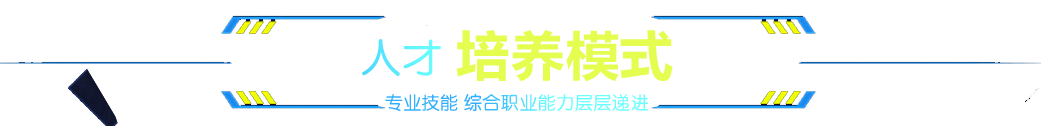 人才培养模式